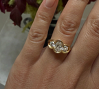 Bague allégé